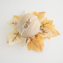 Load image into Gallery viewer, Tieback SET