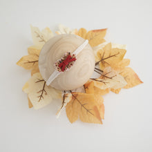 Load image into Gallery viewer, Tieback SET